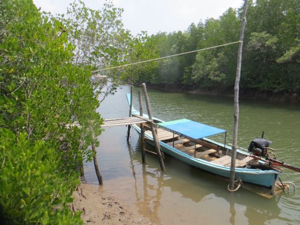 Thung Yee Pheng Mangrove Forest