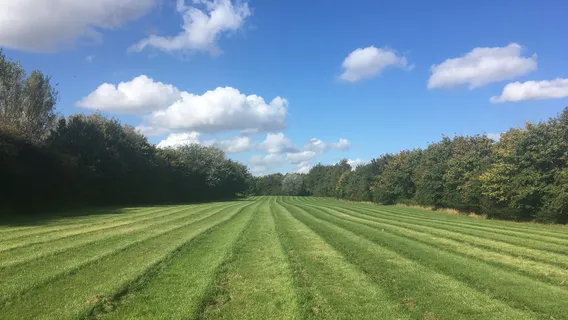 Manor Farm Woodland Walks/Cakes And Bakes(Railway Carriage Tea Room)