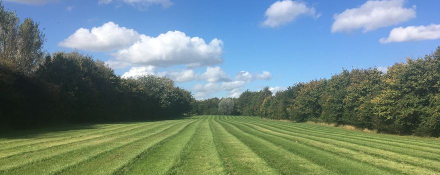 Manor Farm Woodland Walks/Cakes And Bakes(Railway Carriage Tea Room)
