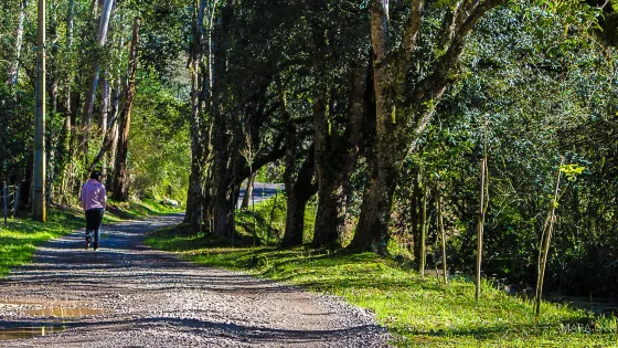 Cachoeira da Linha Feijo