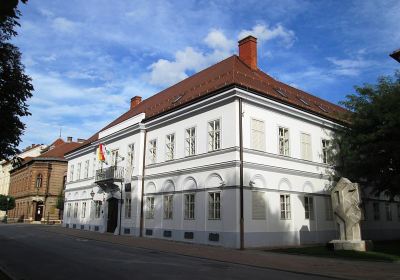 Town Museum