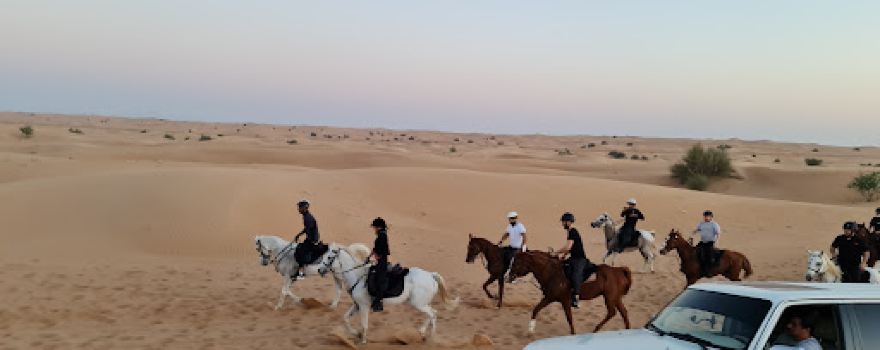 Al Wefa Stable