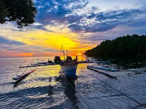 Wisata Mangrove Trans Pato'a