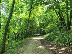 Indian Lake Park