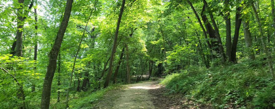 Indian Lake Park