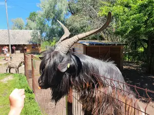 Mini Zoo Kuiviži