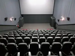 Cine Gracher Havan