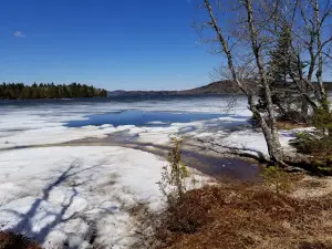 Loch Alva Wilderness Area