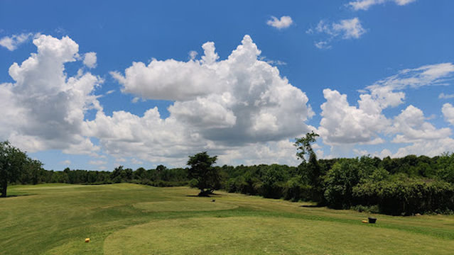 베이 포레스트 골프 코스