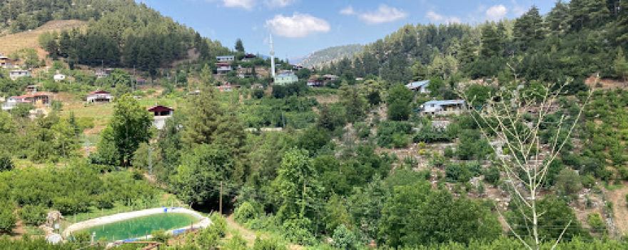 Horozlu köyü camii