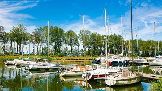 Flower Camping Le HautDick