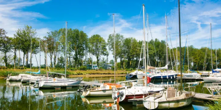 Flower Camping Le HautDick