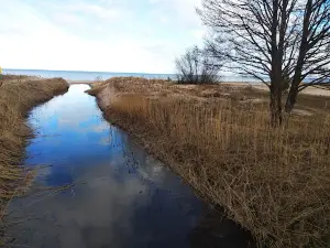 Engures bāka