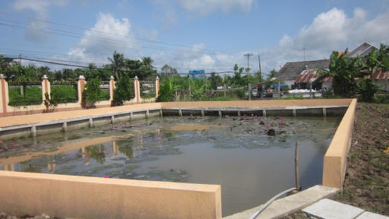 Nhà thờ Trà Canh