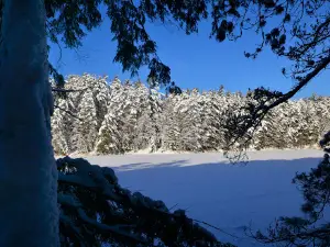 Perch Lake Campground