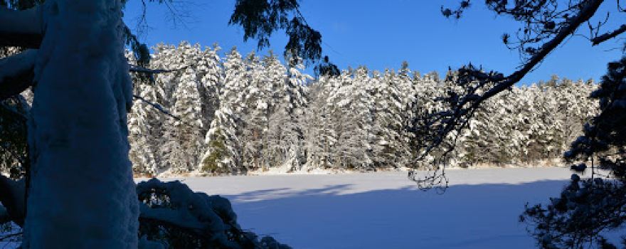 Perch Lake Campground