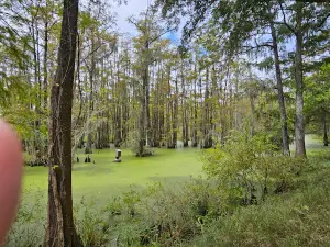 Dungannon Plantation Heritage Preserve/Wildlife Management Area