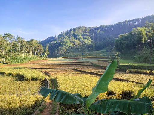Gunung Halu