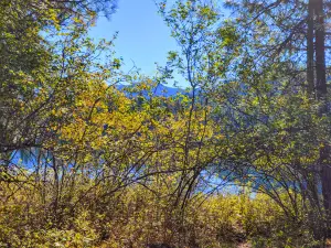 Trout Creek Campground