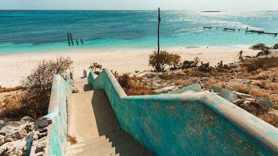 Real Deal Car Rental Aruba