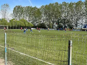 Arena sportiva Pescarusul Sarichioi