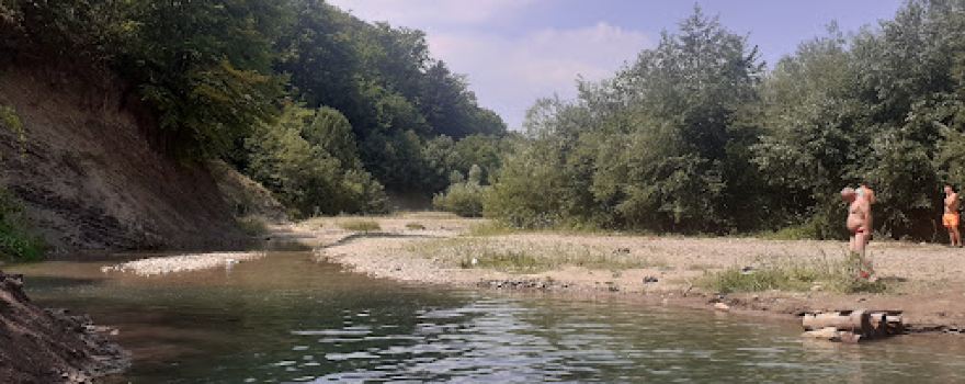 La Bureană