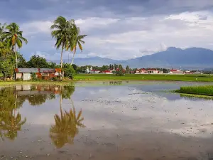 Parks Syech Kukut Solok