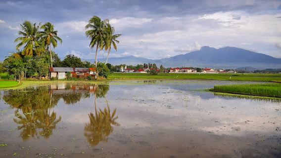 Parks Syech Kukut Solok