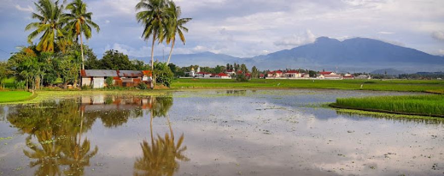 Parks Syech Kukut Solok