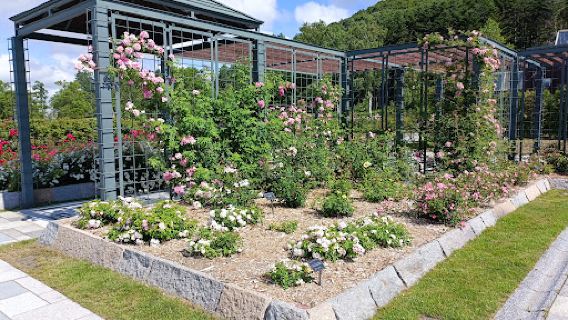 Iwamizawa Rose Garden