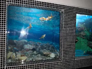 Aquarium / Aquatic Resources Experiment Station