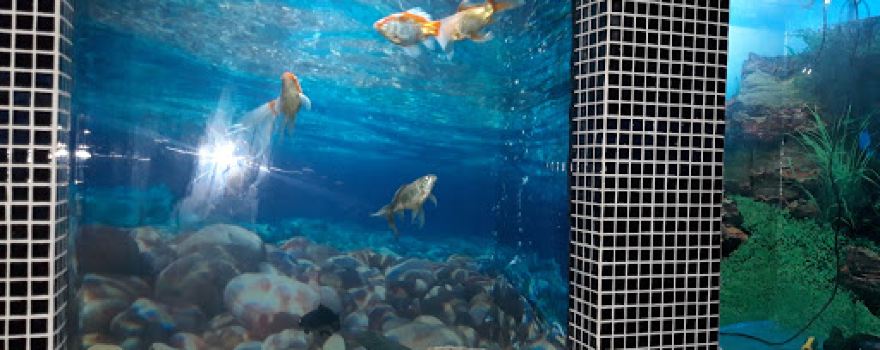 Aquarium / Aquatic Resources Experiment Station