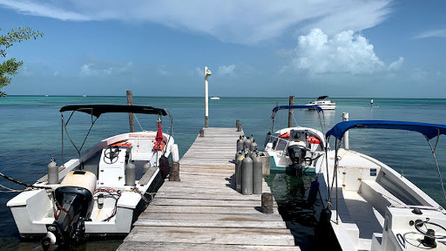 French Angel Expedition