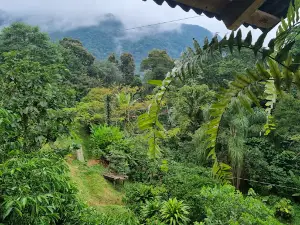 Rancho Aurora