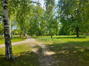 Babrujsk-Arena