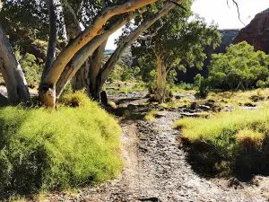 Ruby Gap Nature Park