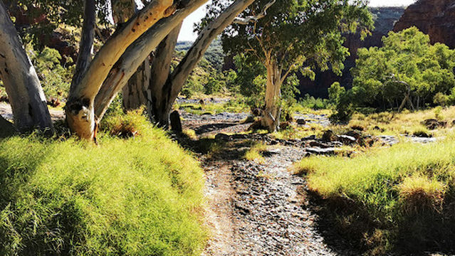 Ruby Gap Nature Park