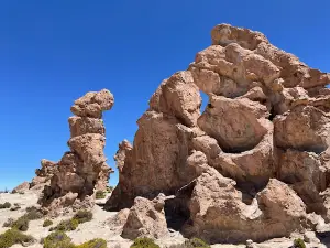 Bosque De Piedras