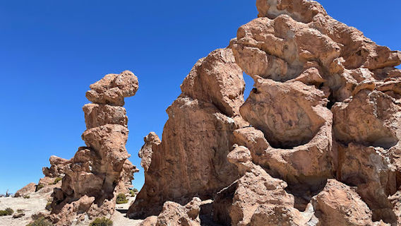 Bosque De Piedras