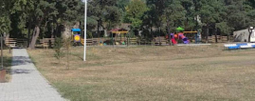 Eniseli Arena