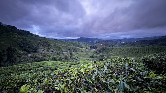 Iconic Cameron Sunrise Viewing Spot