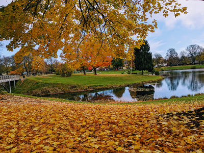 Lake Sacajawea Park Japanese Gardens
