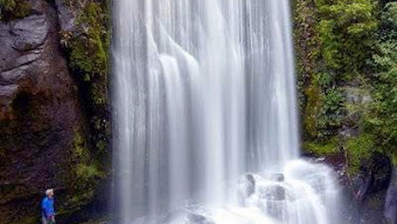 Te Urewera Rainforest Route - Northern Gateway