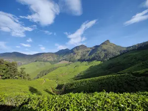 Kolukkumalai Top View point
