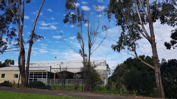 Livvi's Place The Hills