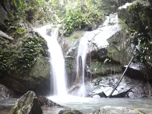 Suaka Margasatwa Rimbang Baling