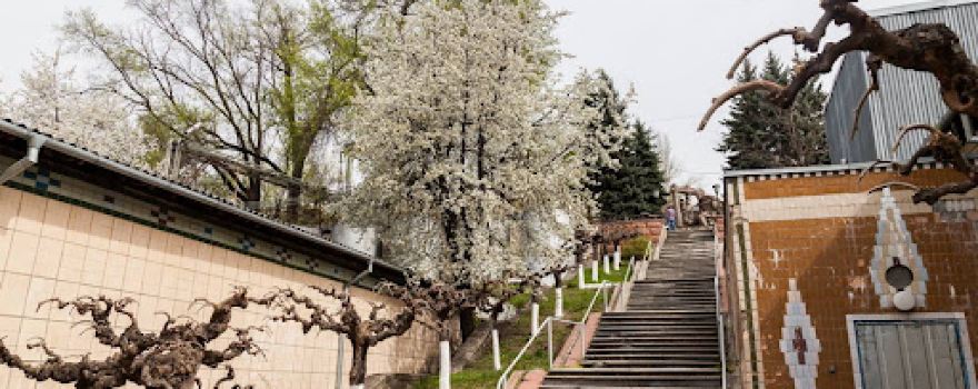 Monumentul vinificatorilor Moldovei