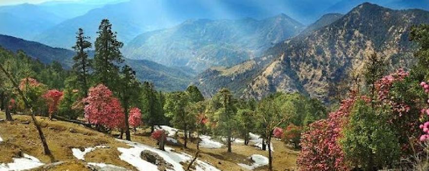 Kausani View Point