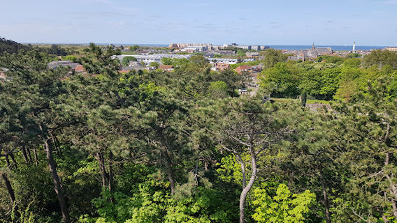 Uitkijktoren - Watchtower