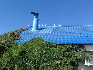 Ethnographic Complex "Altyn-Nur"